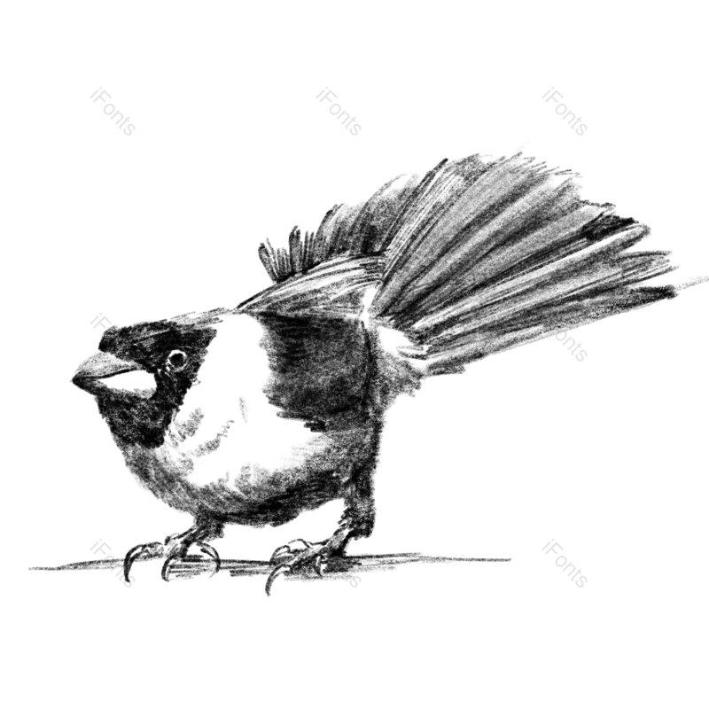 元素图片,插画元素,小鸟PNG,动物免抠素材